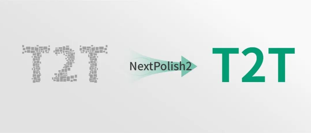NextPolish2 将不完整的 T2T 字样矫正为完整 T2T 的示意图