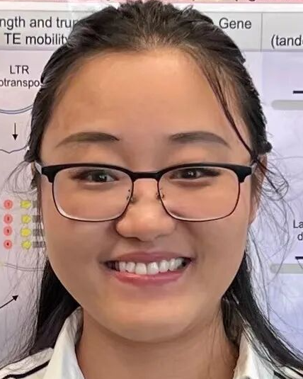 张盼盼